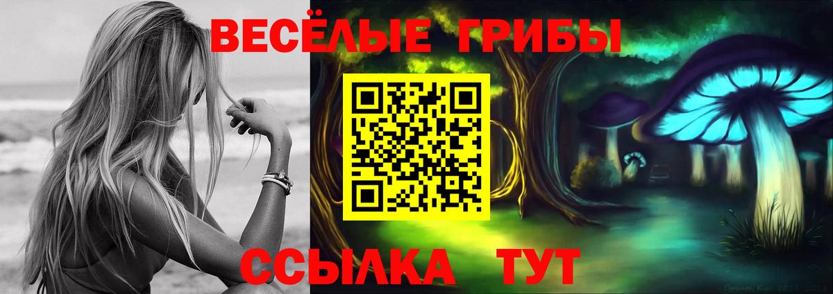 Псилоцибиновые грибы MAGIC MUSHROOMS  Вход с VPN  Нефтекумск 