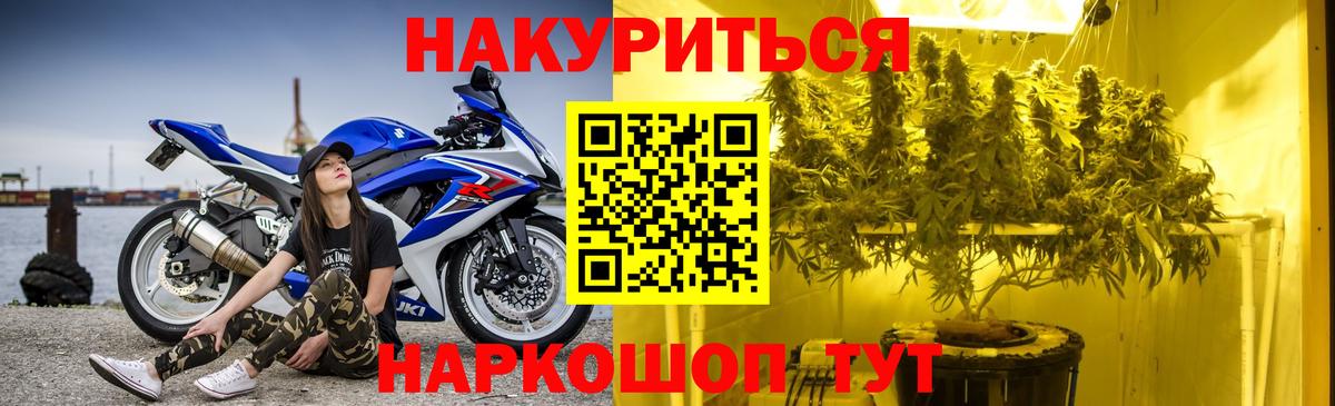 Каннабис VHQ  Бошки Шишки AK-47  Бошки Шишки Ganja  Нефтекумск  Вход с VPN 